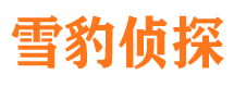 新田外遇调查取证